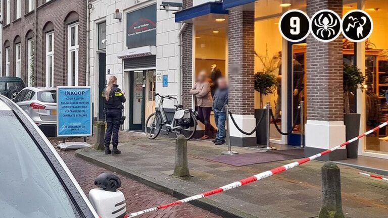 Die Veilinghuizen in Belgien: Ein Blick auf ihre Bedeutung und Entwicklung