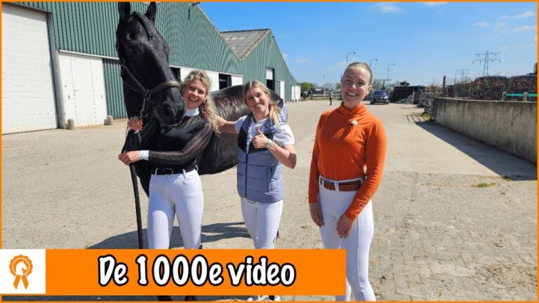 Die besten Hobbywinkels in Namen entdecken