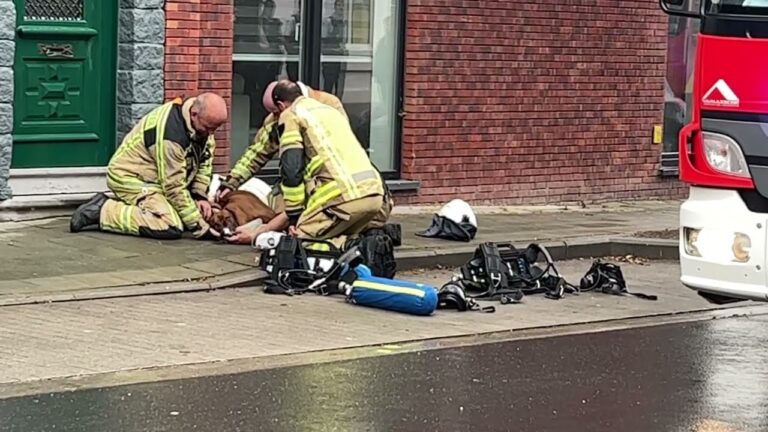 Hunde in Brugge: Ein Leitfaden f&uuml;r Tierliebhaber