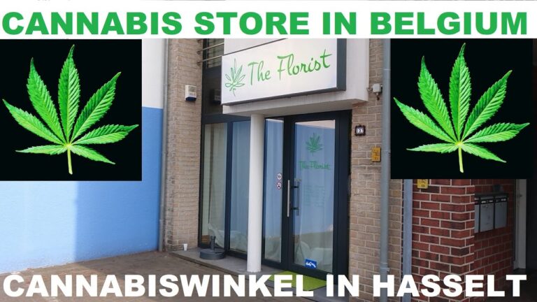 Cannabiswinkels in Hasselt: Ein &Uuml;berblick &uuml;ber die besten Angebote