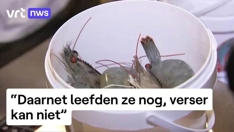 Kwekerijen in Brüssel: Ein Blick auf die grüne Vielfalt