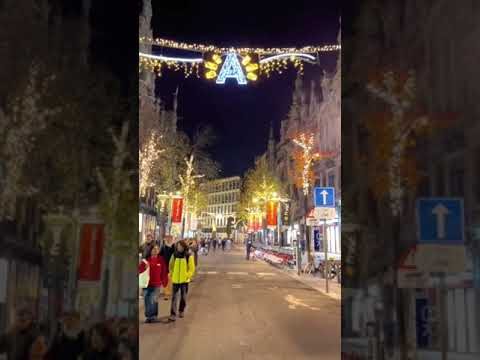 Effiziente Koerierdienste in Antwerpen