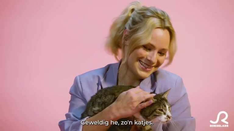 Katzenliebe in Roeselare: Ein Blick auf die lokale Katzenpopulation