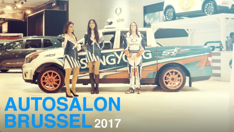 Autos und Lastwagen in Br&uuml;ssel: Verkehr und Herausforderungen
