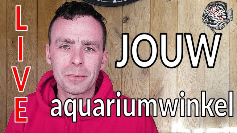 Aquariumwinkels in Oostende: Die besten Empfehlungen