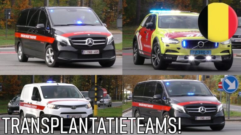 Professionelle Fahrzeugtransportdienste in Hasselt