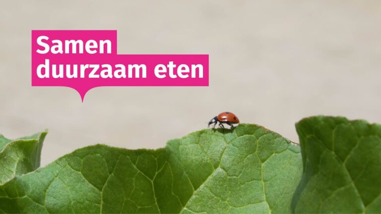 Vakscholen in Gent: Eine &Uuml;bersicht der Ausbildungsangebote