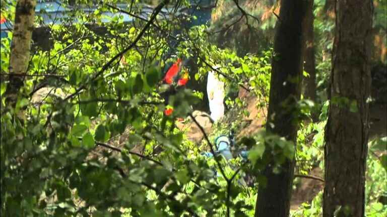 Warenh&auml;user in Leuven: Vielfalt und Einkaufserlebnis