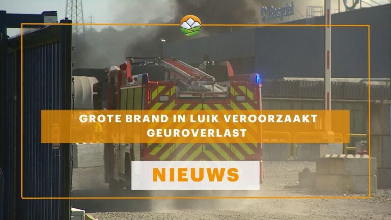 Effiziente Schoonmaakdiensten in Luik