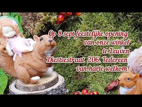 Kleurstoffen Geschäfte in Leuven: Ein Einkaufsführer
