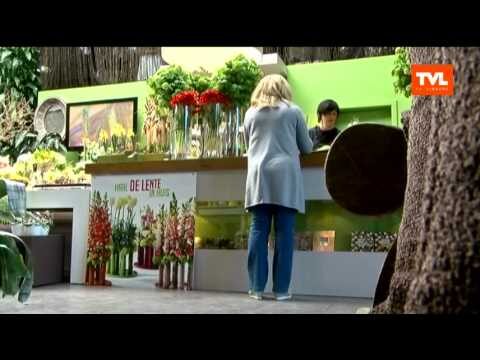 Professionelle Gartenpflege-Dienste in Hasselt