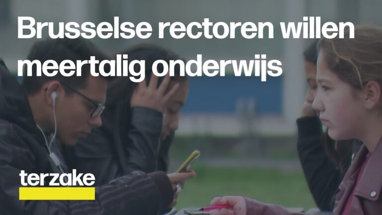 Englische Schulen in Br&uuml;ssel: Eine &Uuml;bersicht