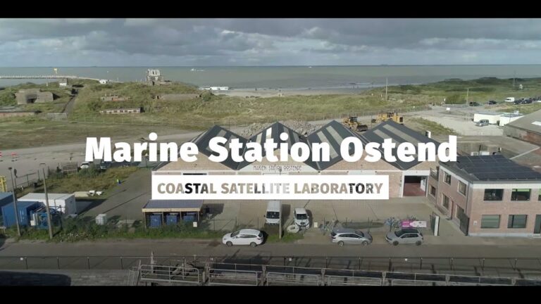Transportunternehmen in Oostende: Effizienz und Innovation