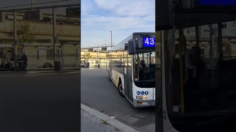 Logistische Dienstleistungen in Sint-Niklaas