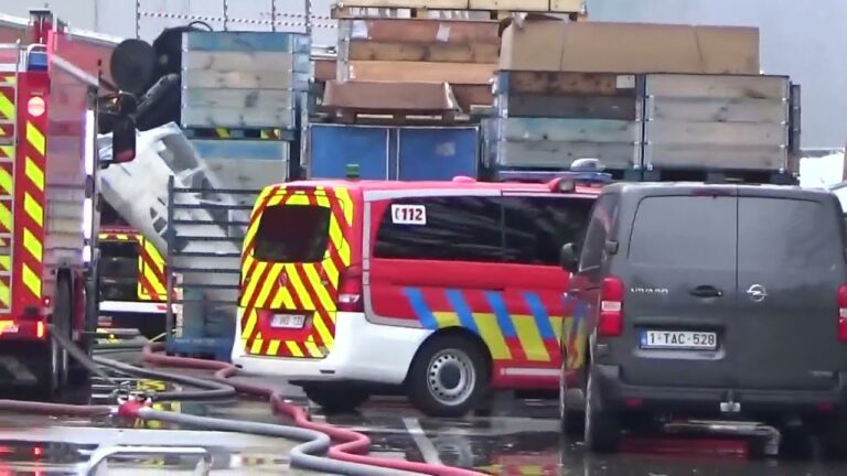 Verpackungsunternehmen in Br&uuml;ssel: Eine &Uuml;bersicht