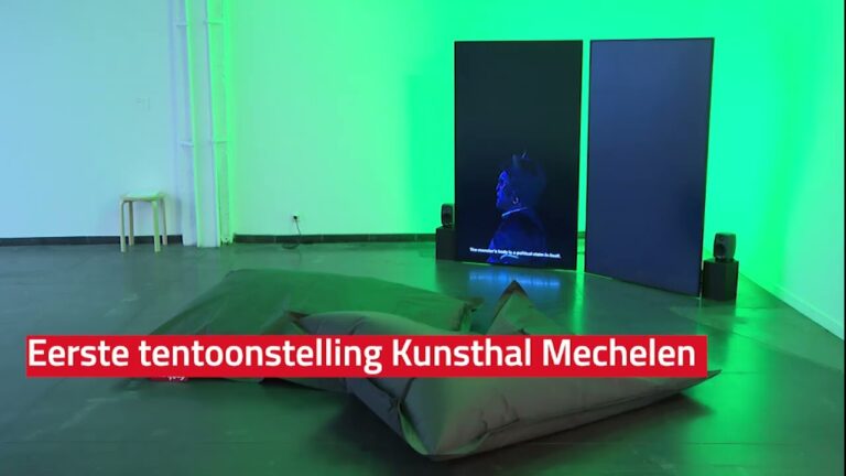 Die besten Duikclubs in Mechelen