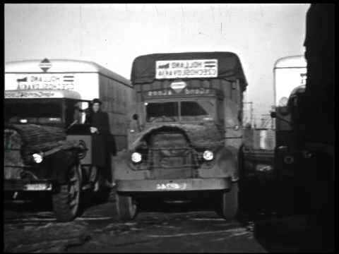 Effiziente Fahrzeugtransportdienste in Antwerpen