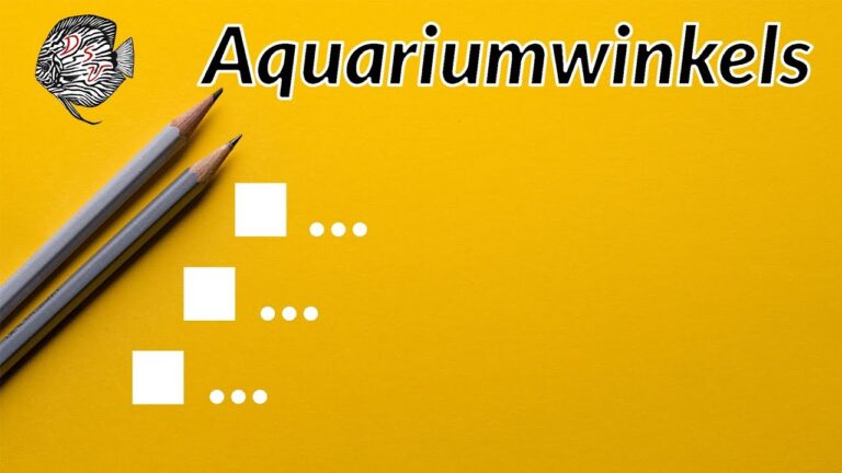 Die besten Aquariumwinkels in Belgien