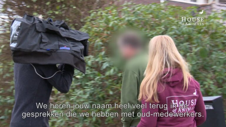 Dierenartsen in Namen: Kompetente Hilfe f&uuml;r Ihre Haustiere