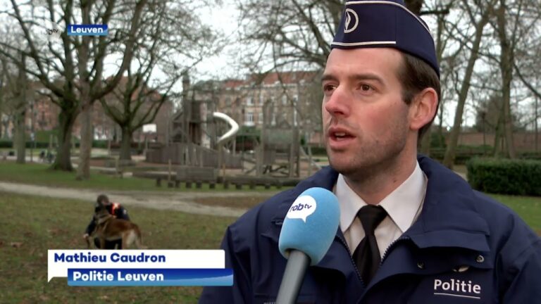 Hunde in Leuven: Ein Leitfaden für Hundeliebhaber