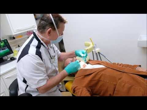 Orthodontisten in Sint-Niklaas: Experten für Ihr Lächeln