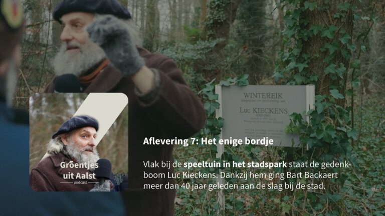 Schilders in Aalst: Qualit&auml;t und Kreativit&auml;t vereint