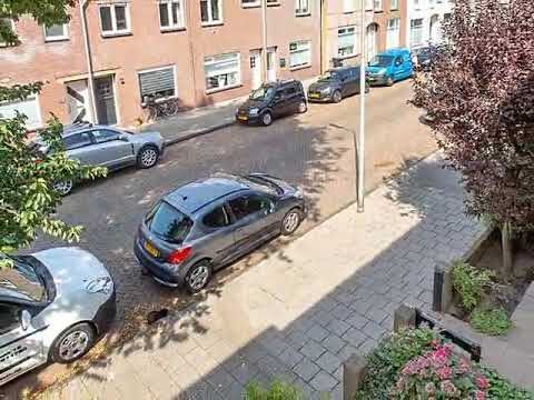 Deurwinkels in Antwerpen: Vielfalt und Qualität entdecken