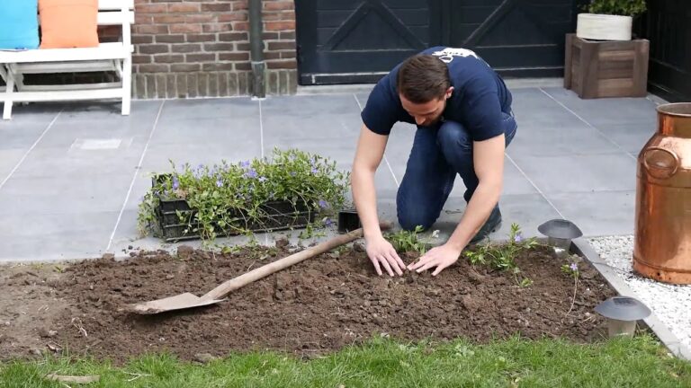 Tuinieren Dienstleistungen in Sint-Niklaas