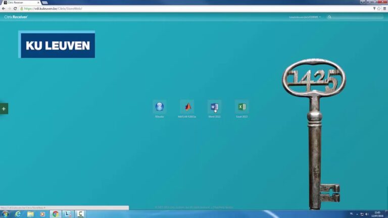 Internet-Software in Leuven: Innovation und Wachstum