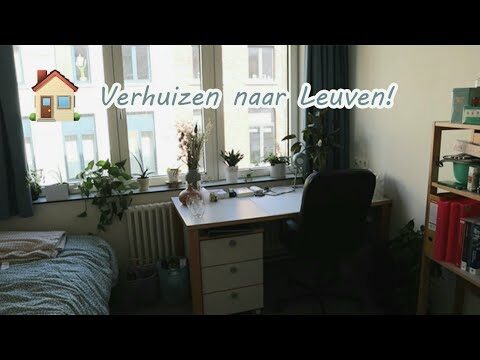 Umfassender Leitfaden f&uuml;r Verhuisbedrijven in Leuven