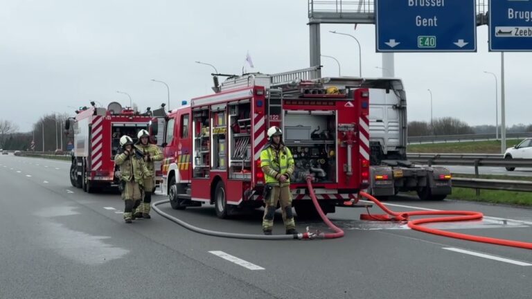 Effiziente Fahrzeugtransportdienste in Brugge