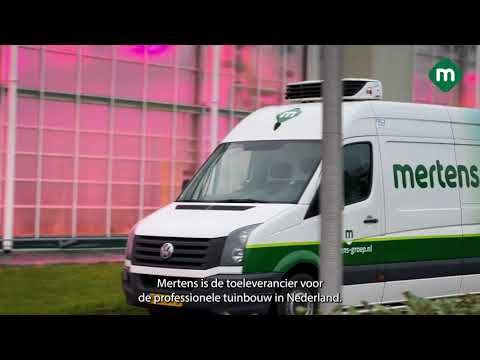 Chinesische Superm&auml;rkte in Mechelen: Vielfalt und Entdeckungen