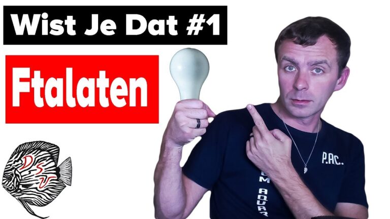 Die besten Dierenwinkels in Kortrijk