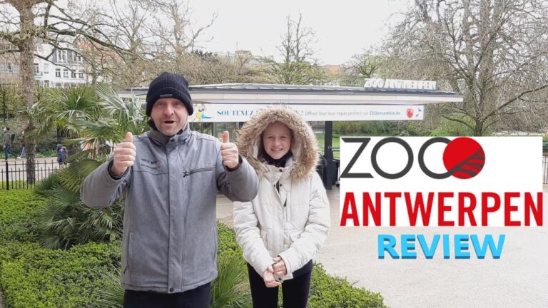 Bewertung von Websites in Antwerpen: Ein Leitfaden