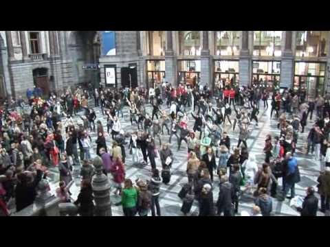 Die besten Dansscholen in Antwerpen