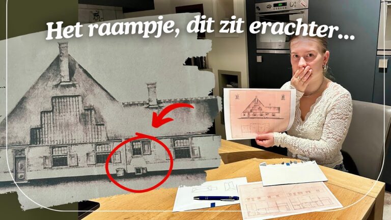 Koreaanse Lebensmittell&auml;den in L&uuml;ttich: Ein kulinarischer &Uuml;berblick