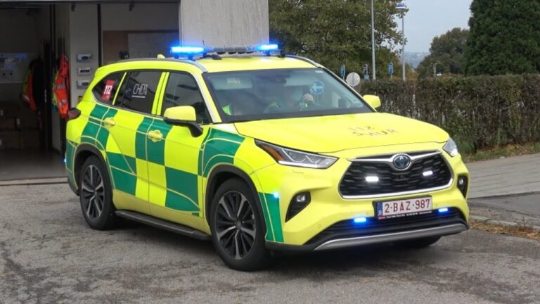 Effiziente Fahrzeugtransportdienste in Seraing