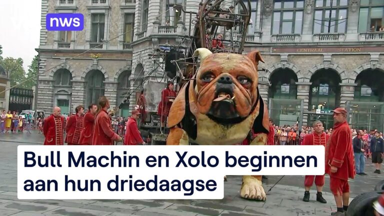 Huisdieren in Antwerpen: Ein Leitfaden f&uuml;r Tierliebhaber