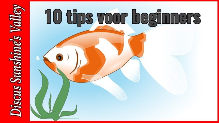 Die besten Aquariumwinkels in Luik