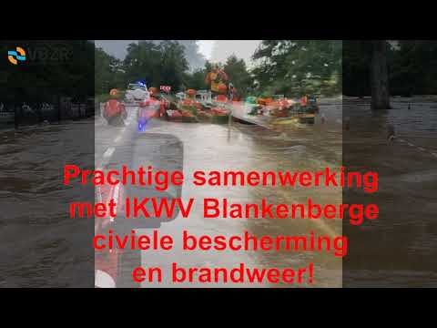 Hunde in Seraing: Ein Leitfaden für Tierliebhaber