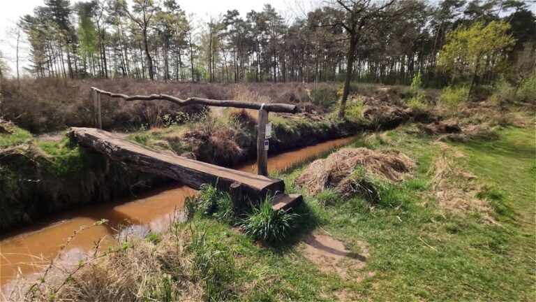 Houten H&uuml;tten in Antwerpen: Ein Geheimtipp f&uuml;r Naturliebhaber